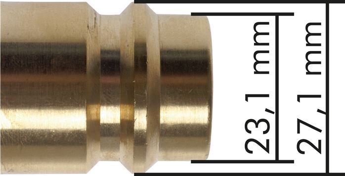 Tappo di accoppiamento (NW19) G 3/4"(IG), ottone nichelato