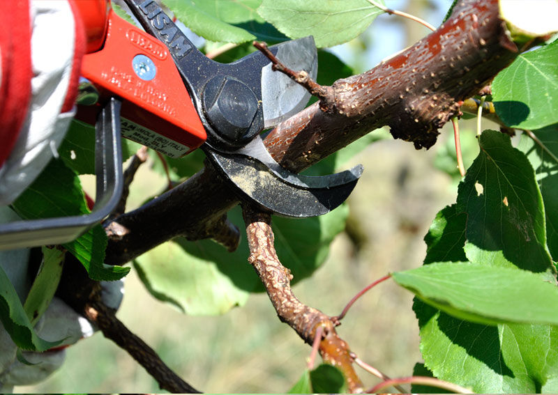 LISAM SLY Troncarami pneumatici 9030