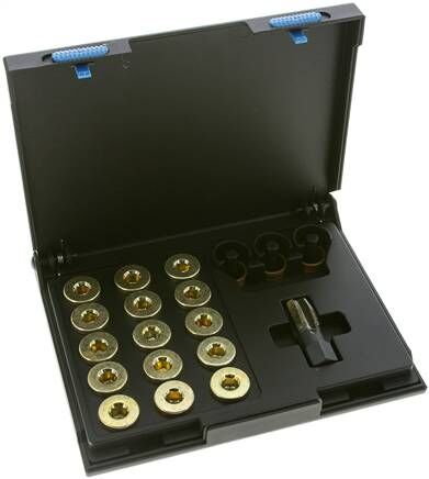 Kit di riparazione della coppa dell'olio in una robusta cassetta (M 17x1,5)
